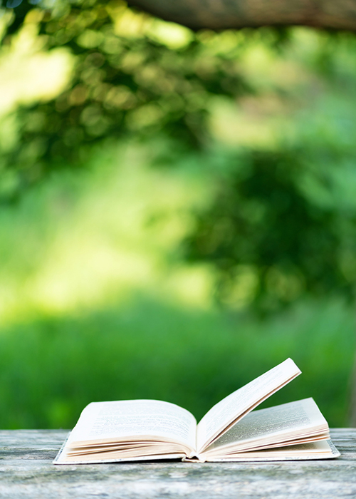 open book on table with trees in background